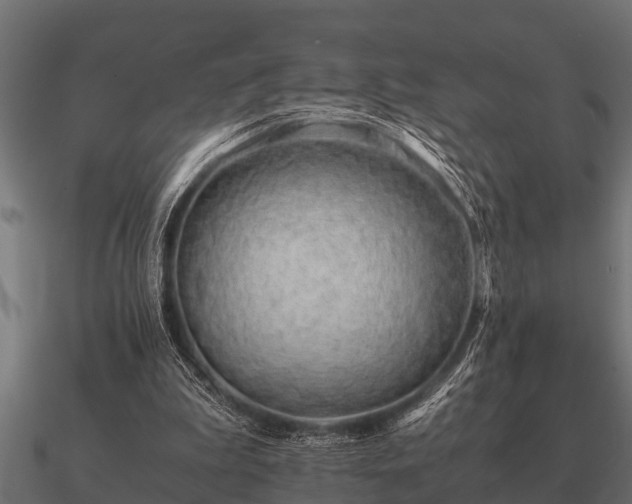 X0000090900199200708061510