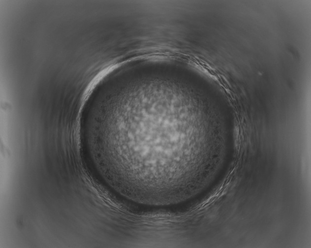 X0000090900200200708061510