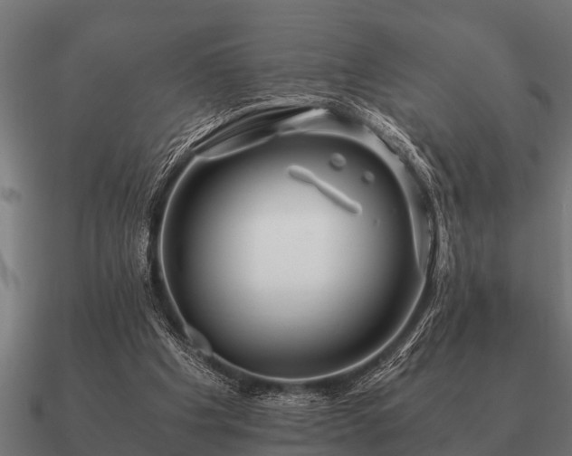 X0000090900201200708061510