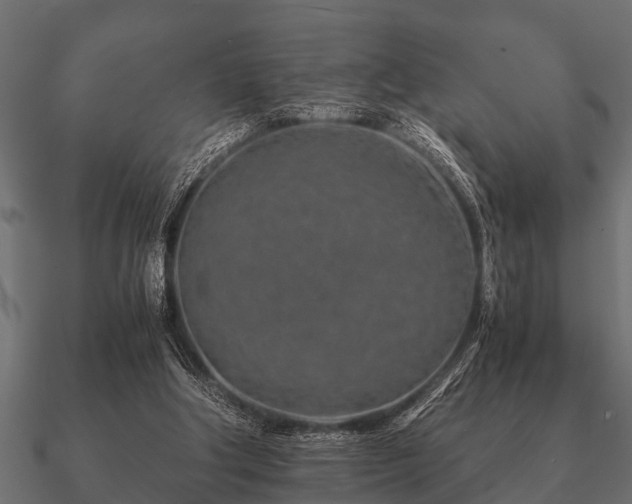 X0000090900202200708061510