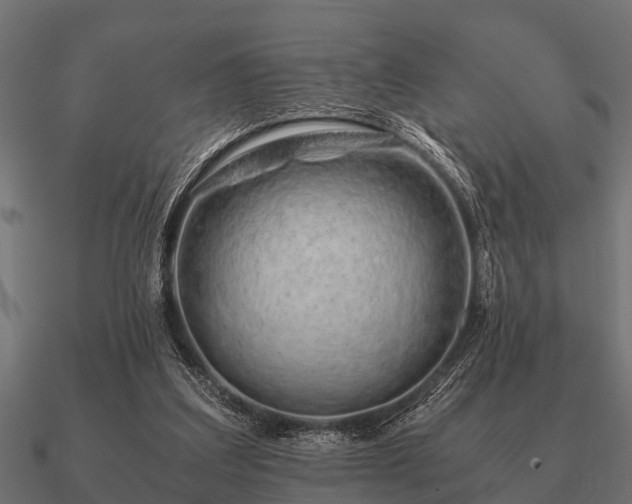 X0000090900203200708061510