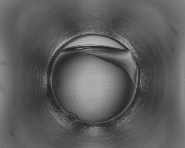 X0000090900204200708061510