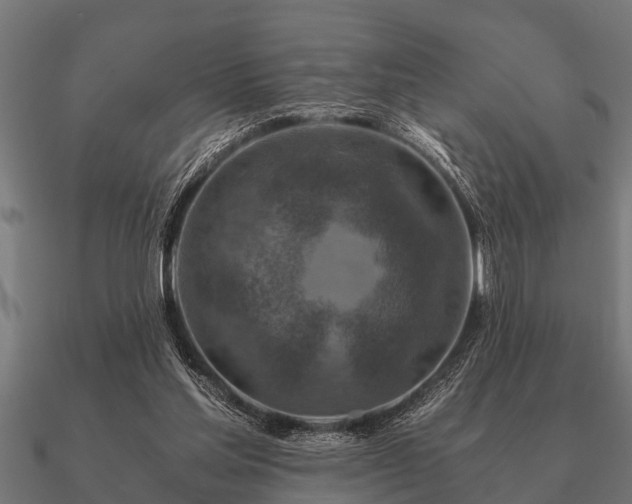 X0000090900205200708061510