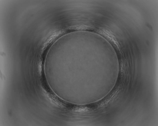 X0000090900206200708061510