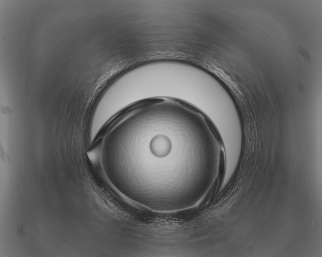 X0000090900207200708061510