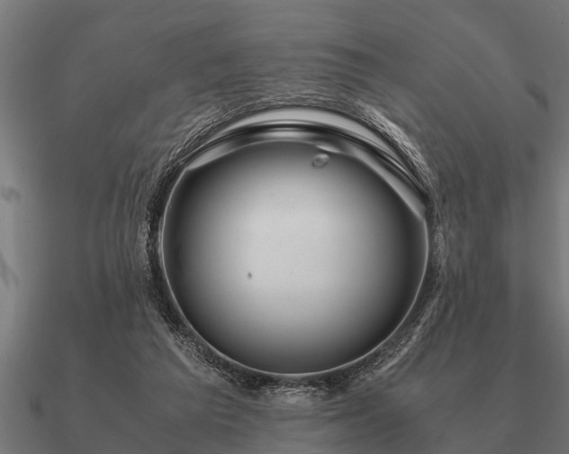 X0000090900209200708061510