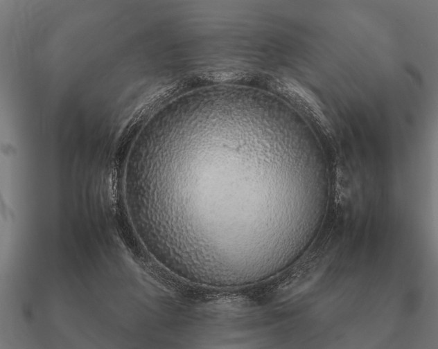 X0000090900210200708061510