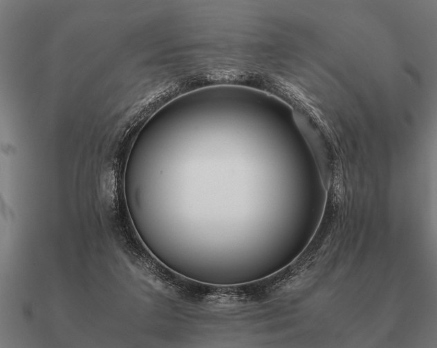 X0000090900211200708061510