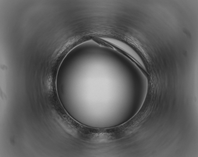 X0000090900212200708061510