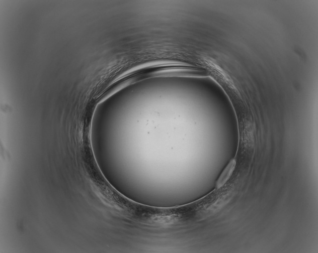 X0000090900213200708061510