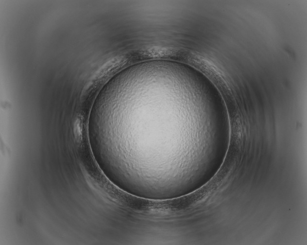 X0000090900214200708061510