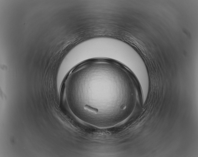 X0000090900215200708061510