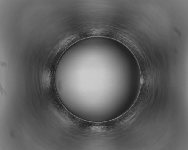 X0000090900216200708061510