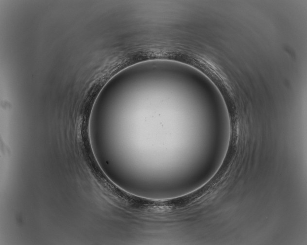 X0000090900217200708061510