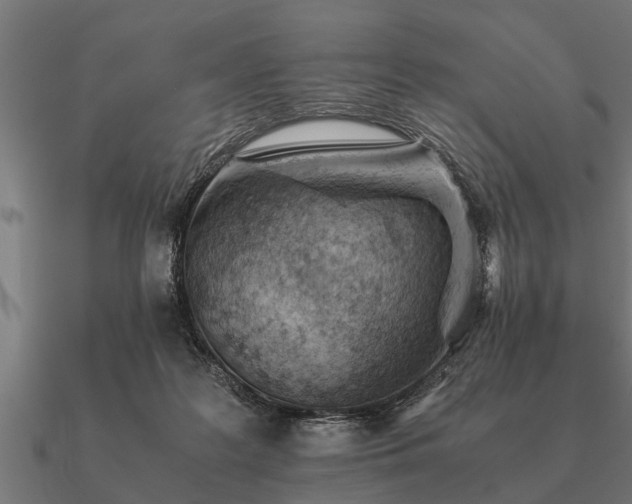 X0000090900219200708061510