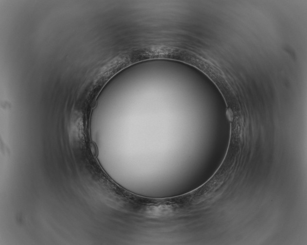 X0000090900220200708061510