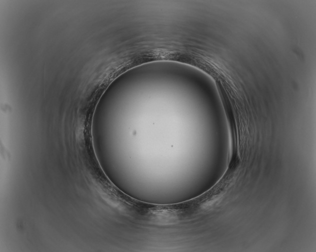 X0000090900221200708061510