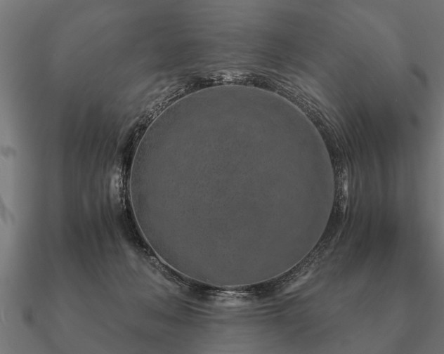 X0000090900222200708061510