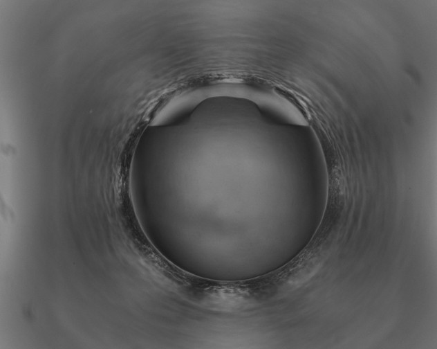 X0000090900223200708061510