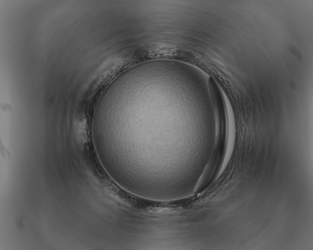 X0000090900224200708061510