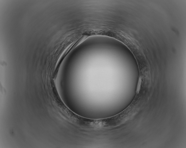 X0000090900225200708061510