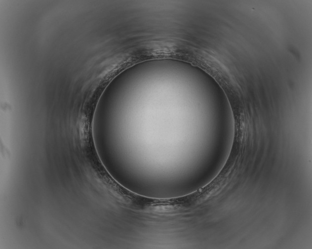 X0000090900228200708061510