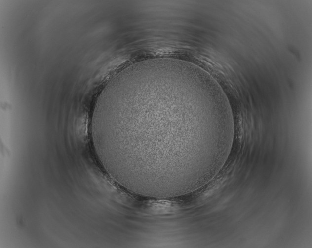 X0000090900230200708061510