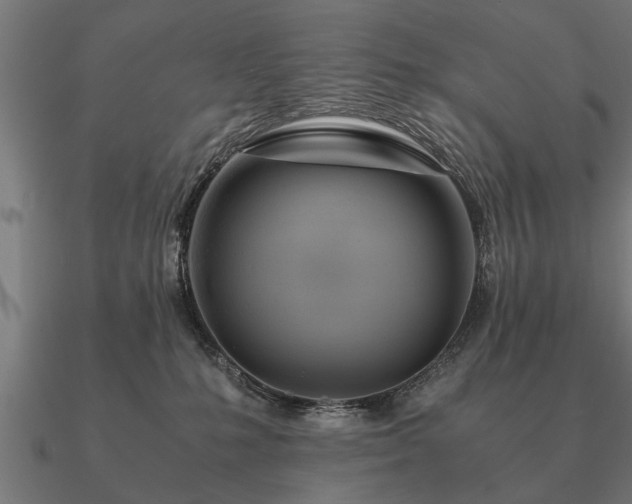 X0000090900231200708061510