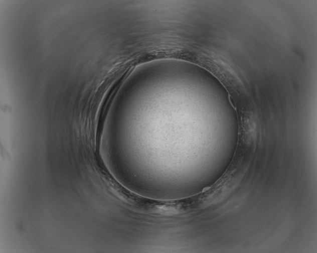 X0000090900232200708061510