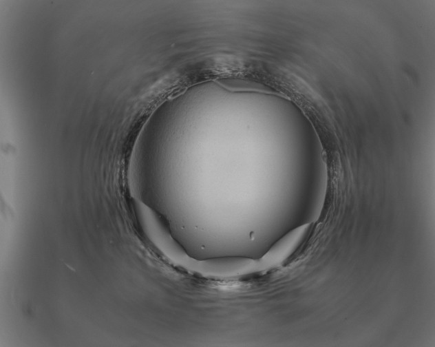 X0000090900233200708061510