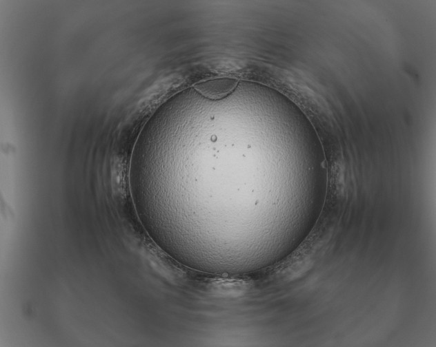 X0000090900234200708061510