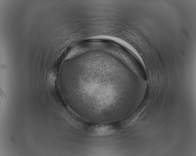 X0000090900235200708061510