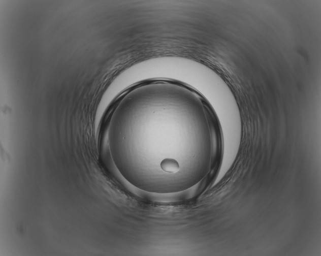 X0000090900237200708061510