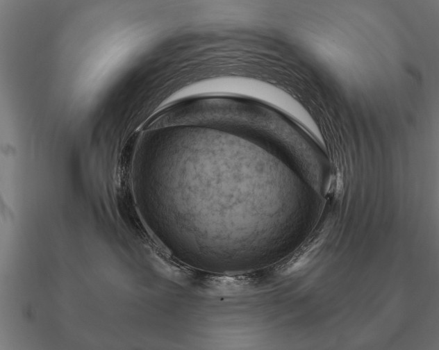 X0000090900239200708061509