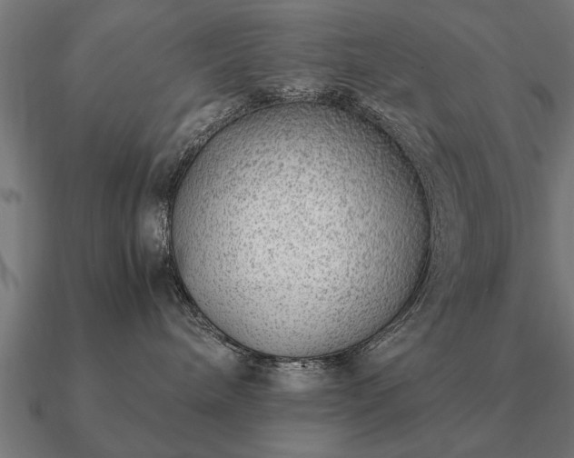 X0000090900240200708061509