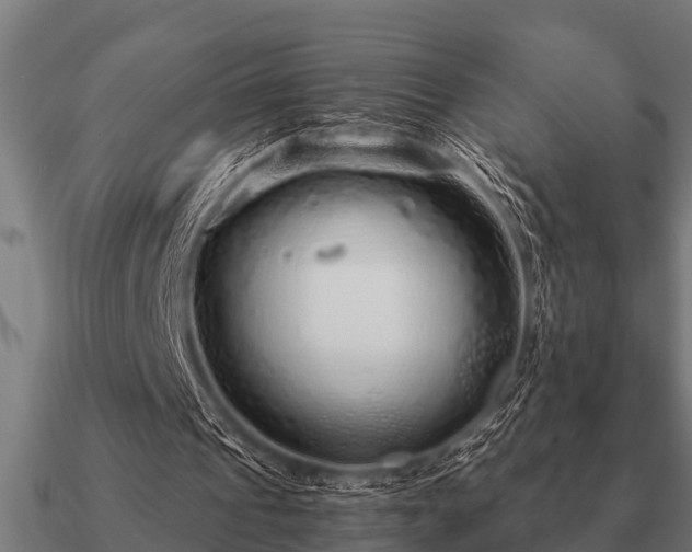 X0000090900241200708061509