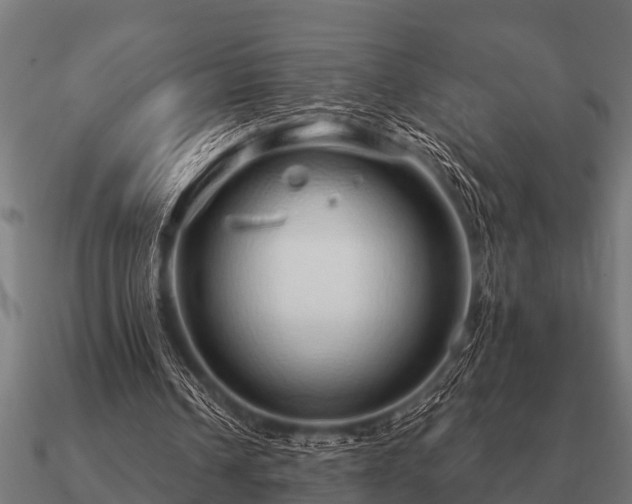 X0000090900242200708061509