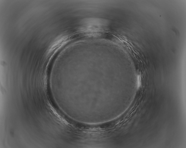 X0000090900243200708061509