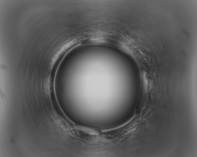 X0000090900244200708061509