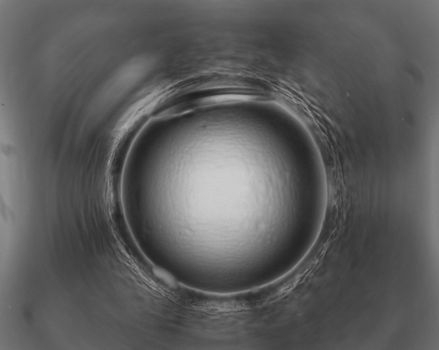 X0000090900245200708061509