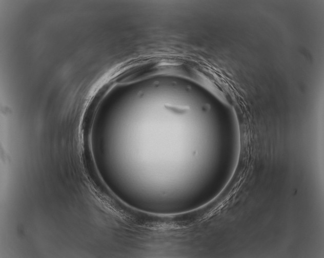 X0000090900246200708061509