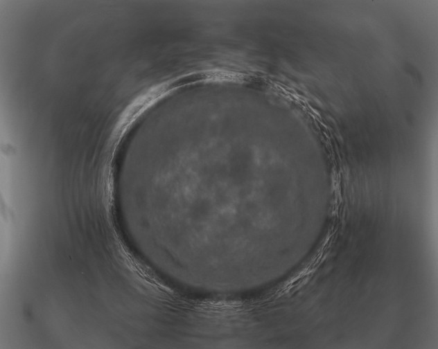 X0000090900247200708061509