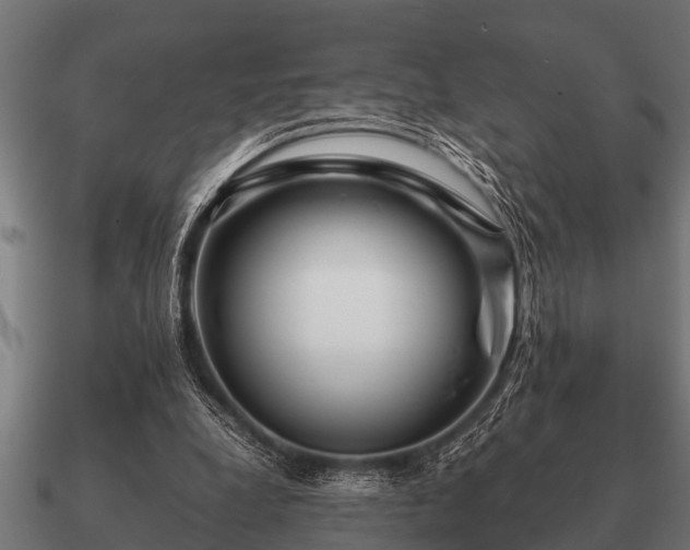 X0000090900248200708061509