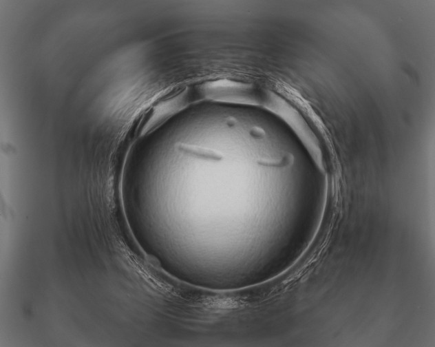 X0000090900249200708061509