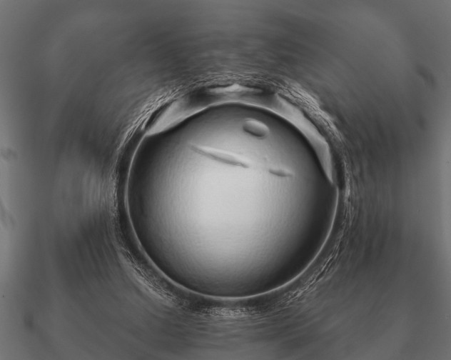 X0000090900250200708061509