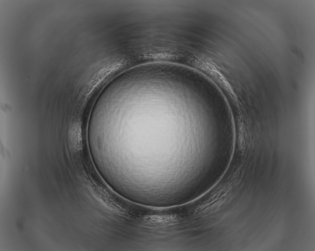 X0000090900251200708061509