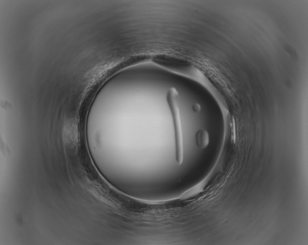 X0000090900252200708061509