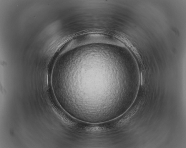 X0000090900253200708061509