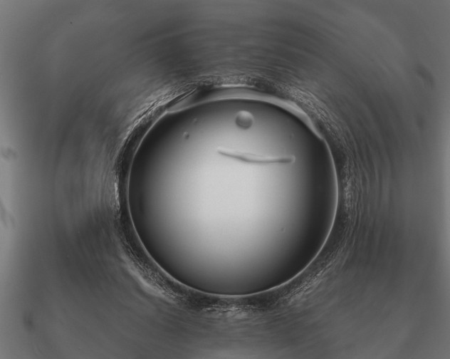 X0000090900254200708061509