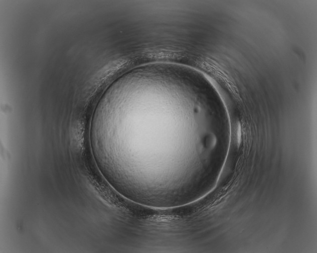 X0000090900255200708061509